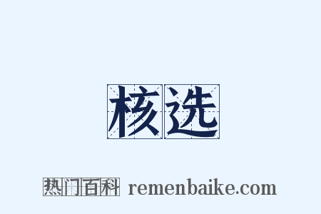 核选是什么意思的图片